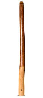 Wix Stix Didgeridoo (WS224)